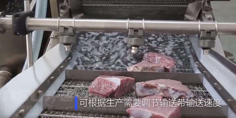 鮮食清洗機(jī)-肉食系列 肉食翻洗機(jī)設(shè)備 鮮食清洗機(jī)-肉食系列 肉食翻洗機(jī)設(shè)備