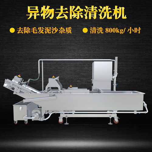 果蔬自動氣泡清洗機，清洗800kg小時，果蔬自動氣泡清洗機