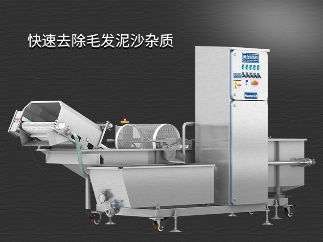 果蔬清洗機(jī)制造廠家，氣泡清洗，清洗800kg/小時(shí)