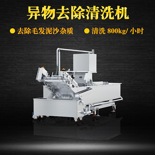 翻浪洗菜機(jī) 專業(yè)氣泡清洗 翻浪洗菜機(jī) 專業(yè)氣泡清洗